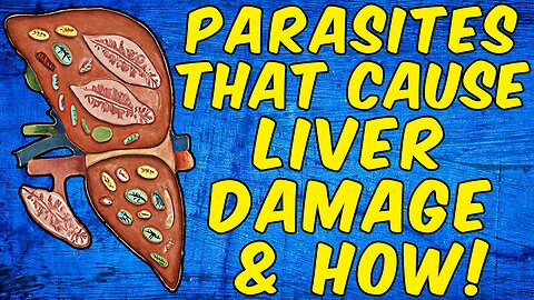Parasites That Cause Liver Damage & How (Science Based)
