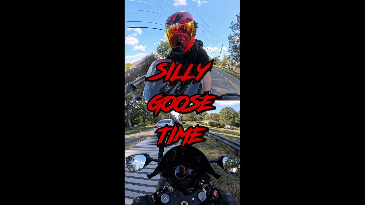 Its Silly Goose Time!