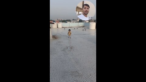 morya masti jivdaya mehsana