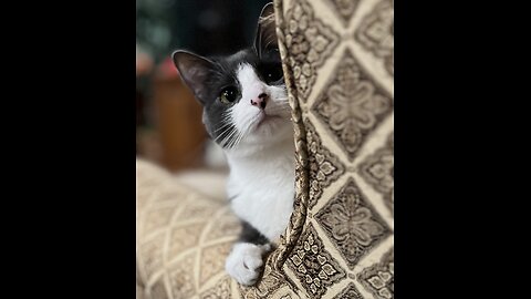 Episode 3025 CWSA 11/21/25