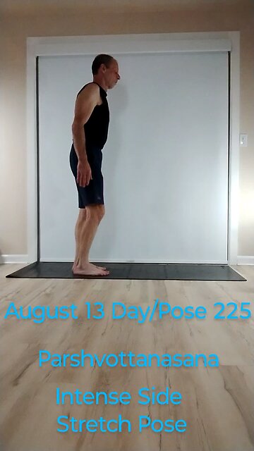 Parshvottanasana / Intense Side Stretch Pose