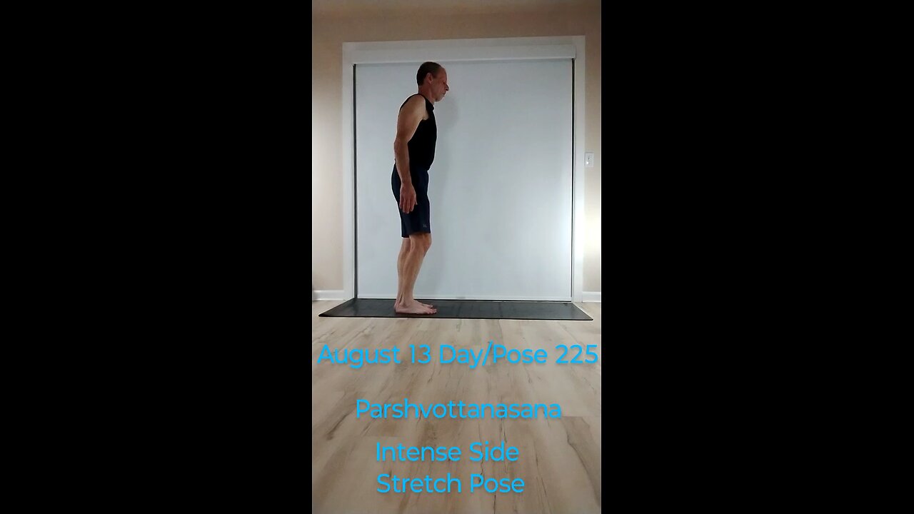 Parshvottanasana / Intense Side Stretch Pose