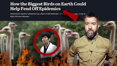 The Truth About The OSTRICH FARM CULL: ANTIBODIES IN THE EGGS Can Cure Humans And FEND OFF EPIDEMICS