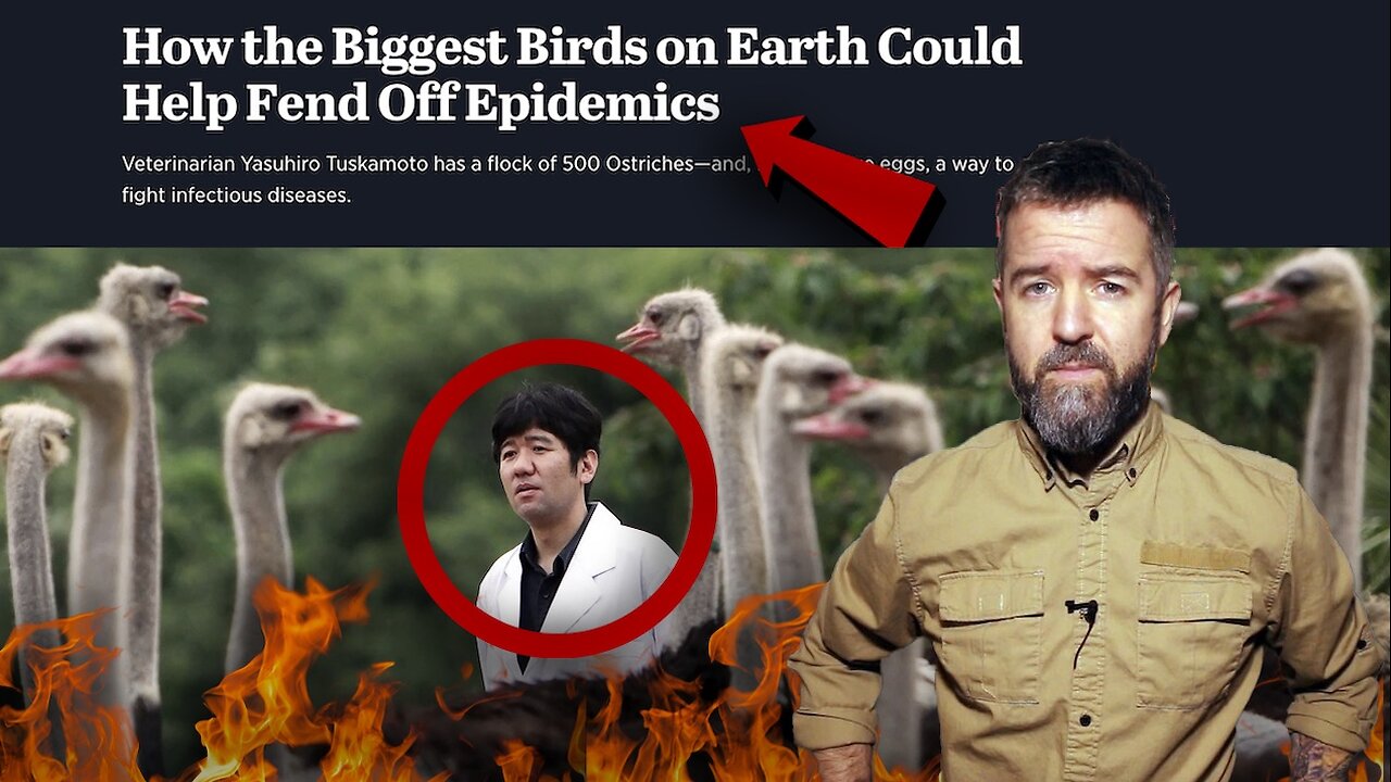 The Truth About The OSTRICH FARM CULL: ANTIBODIES IN THE EGGS Can Cure Humans And FEND OFF EPIDEMICS