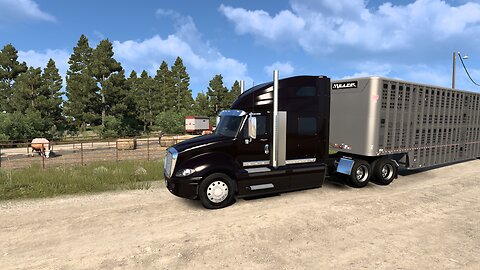 American Truck Simulator/ "Live" Sunday morning trucking