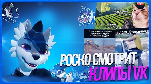 🐺 Роско смотрит ВК Клипы | ЧАСТЬ 3