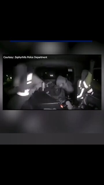 Zephyrhills Police release video of ambush on two people inside garbage truck