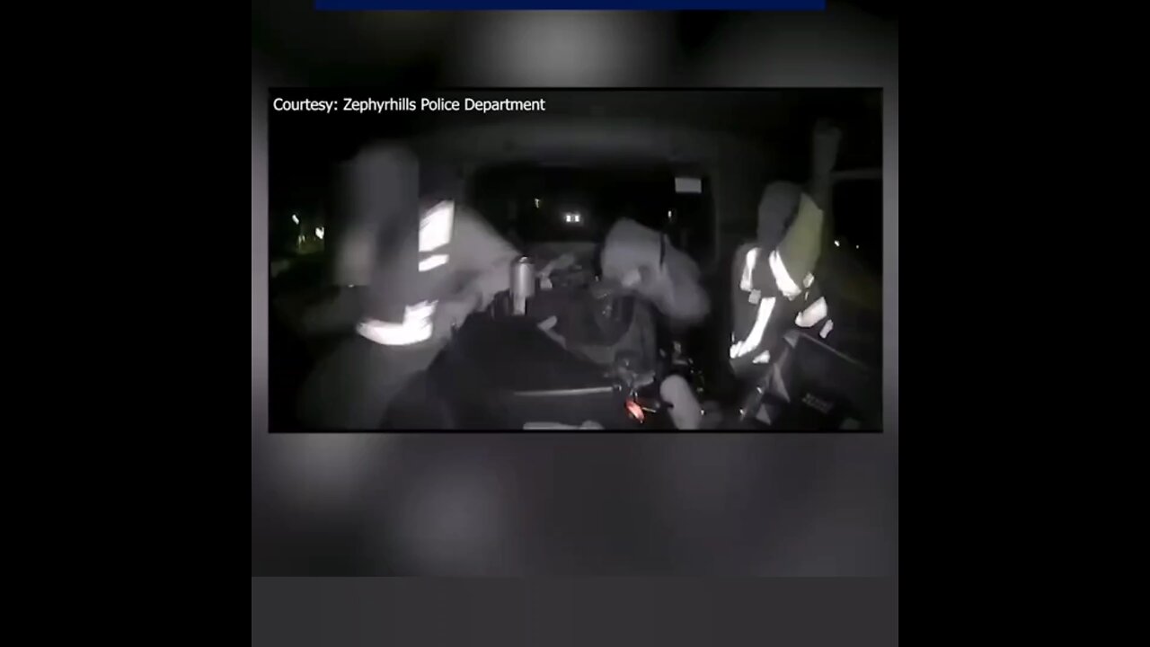 Zephyrhills Police release video of ambush on two people inside garbage truck