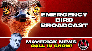 Ostrich Farm Protest - Emergency Broadcast | Missing Ostrich Mystery - Plus Egg Sale Controvery