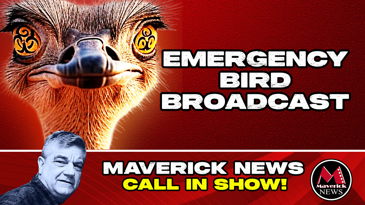 Ostrich Farm Protest - Emergency Broadcast | Missing Ostrich Mystery - Plus Egg Sale Controvery