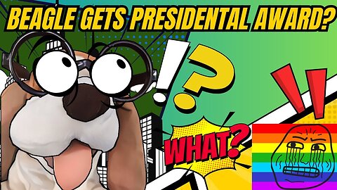 Champ The Beagle Gets Presidential Award