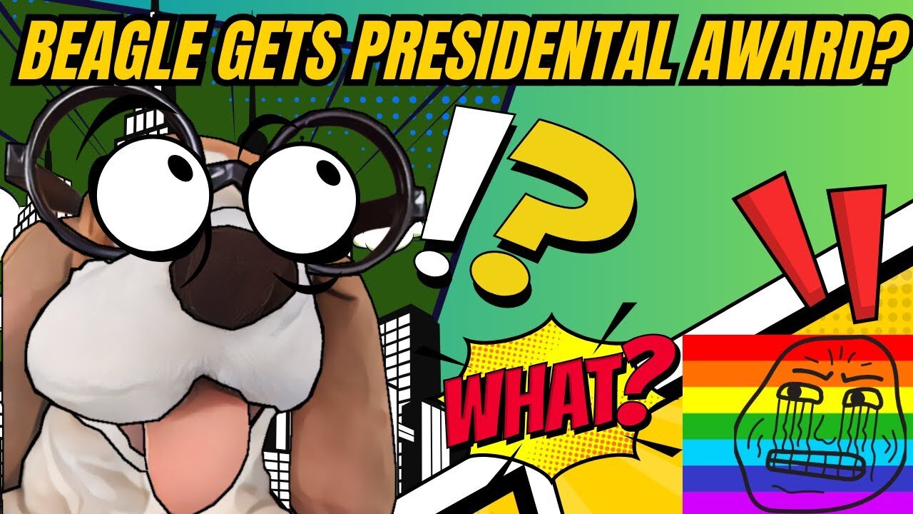 Champ The Beagle Gets Presidential Award