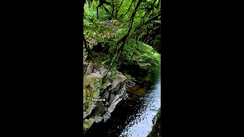 Nature's Healing Power