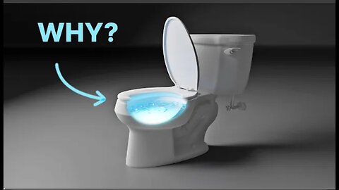 The Strange Design of American Toilets