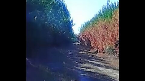 Long distance running shot
