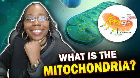 What Is the Mitochondria? and what is her power?