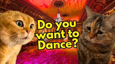 When a Cat Takes his Girlfriend to dance (Ep.2)