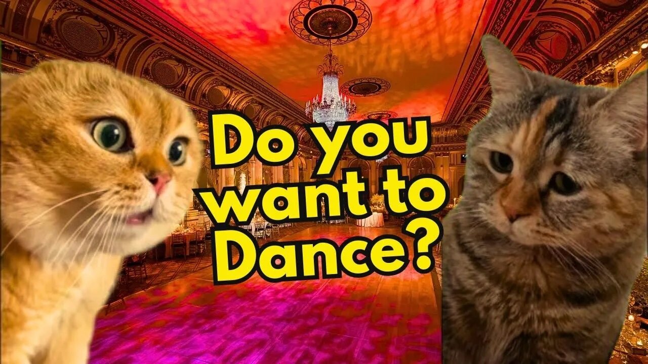 When a Cat Takes his Girlfriend to dance (Ep.2)