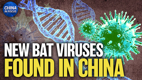 Scientists Discover 20 New Bat Viruses in China | Trailer | China In Focus