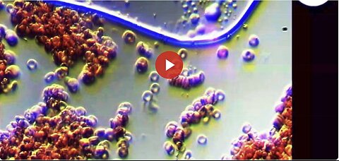 "Unveiling the Impact of Ultraviolet Pulse on the Blood of Vaccinated Individuals"