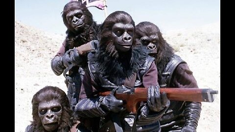 Monkey experiment movies will make you more terrified of the Hindi dubbed download