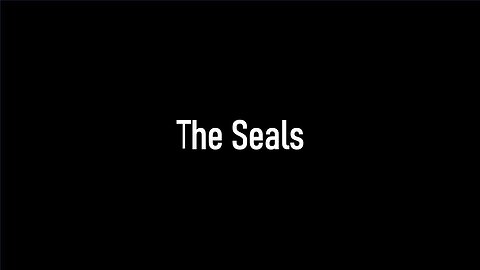 Seals, Trumpets & Bowls | 5th Video | The Seals