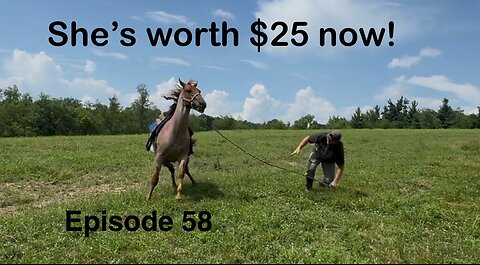 First Time Saddling Our 2-Year-Old Colts