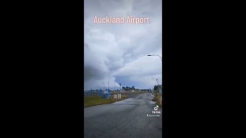 Auckland Weather News