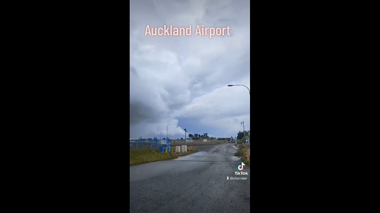 Auckland Weather News