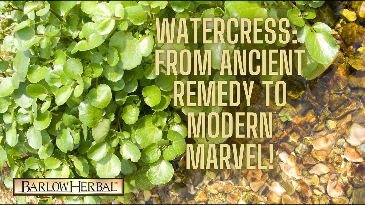 The Health Benefits of Watercress