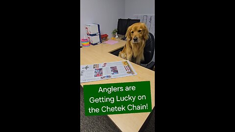 Anglers are Getting Lucky on the Chetek Chain!