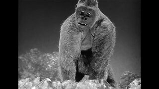 Highlights Of "Mighty Joe Young"