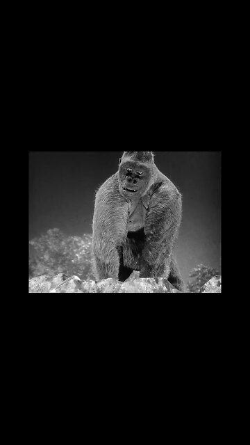 Highlights Of "Mighty Joe Young"