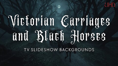Victorian Carriages And Black Horses – 5-Hour Slideshow Backgrounds (10 Images – 1 Every 30 Minutes)