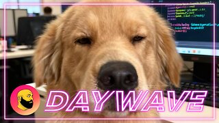 Episode 1653: Sup Dog?