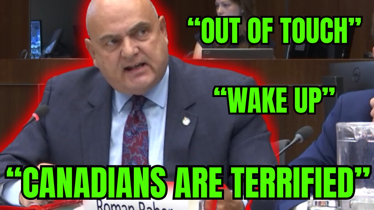 Conservative MP GOES NUCLEAR On Liberals During Committee!