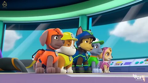 PAW Patrol Cartoons