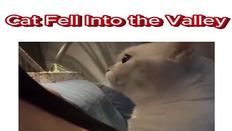 Cat Fell Into the Valley🐱