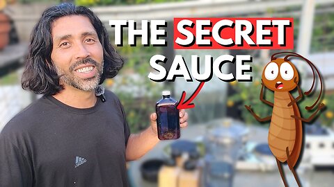 The PROVEN Homemade Garden Bug Spray That Insects AVOID Like The Plague!