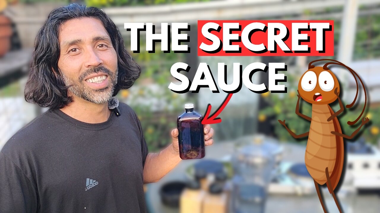 The PROVEN Homemade Garden Bug Spray That Insects AVOID Like The Plague!