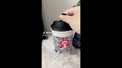 cute and funny cat