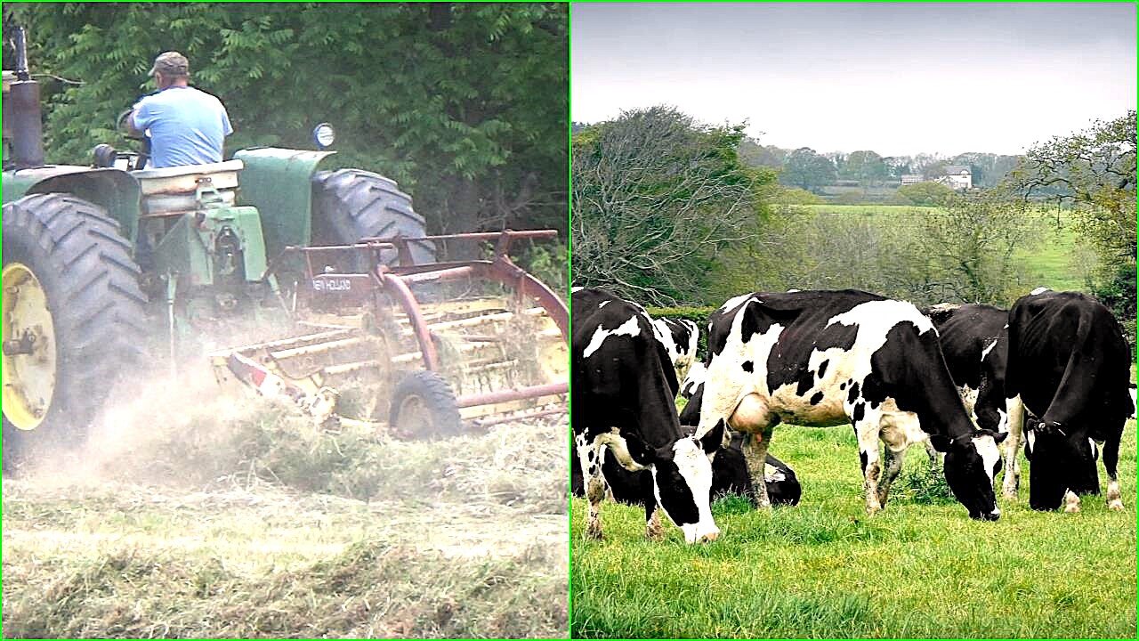 Dairy Farmer Raking Hay With John Deere Tractor