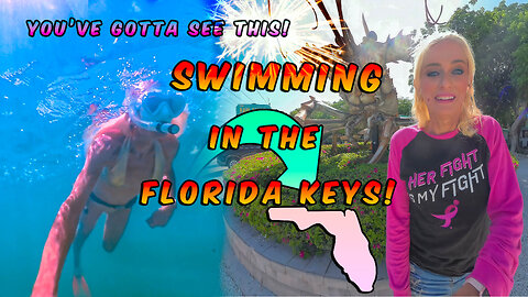 Bahia Honda State Park | Zoey Swimming Underwater Bliss 👙 in the Keys! 