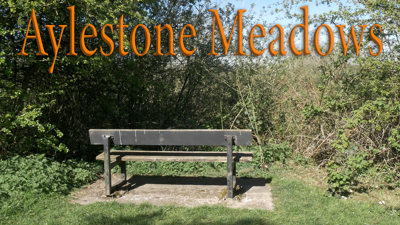 Aylestone Meadows