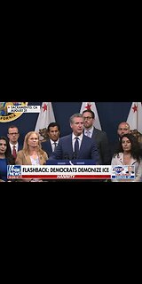 Flashback Montage: Democrats Demonize ICE