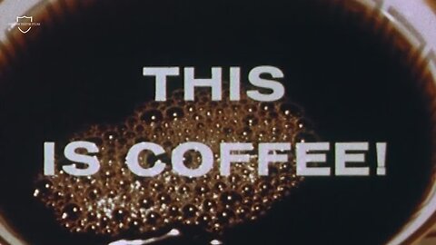 THIS IS COFFEE: The Bitter Truth Behind Your Daily Brew