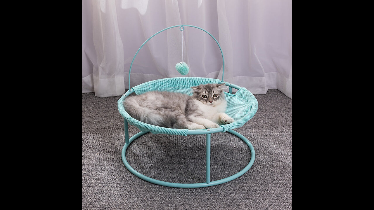 Pet Playing Lounger Bed
