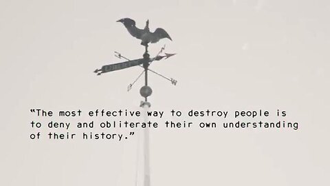 "Experiencing the Mandela Effect: A Real-Time Creation Unveiled"