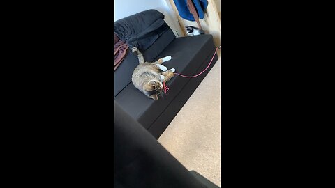 The moment they became friends