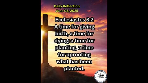 Daily Reflection June 08, 2025 #faith #bible #reflection